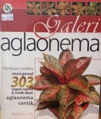 Image of Galeri Aglaonema