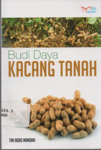 Budi Daya Kacang Tanah